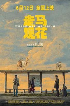 走马观花预告片